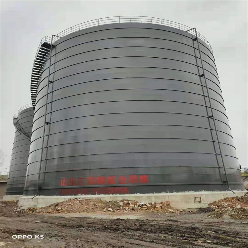 龙安3万吨大型钢板库